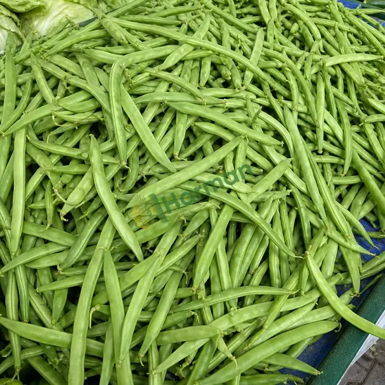 French Beans