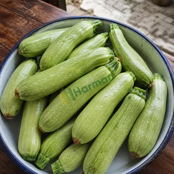 Courgette